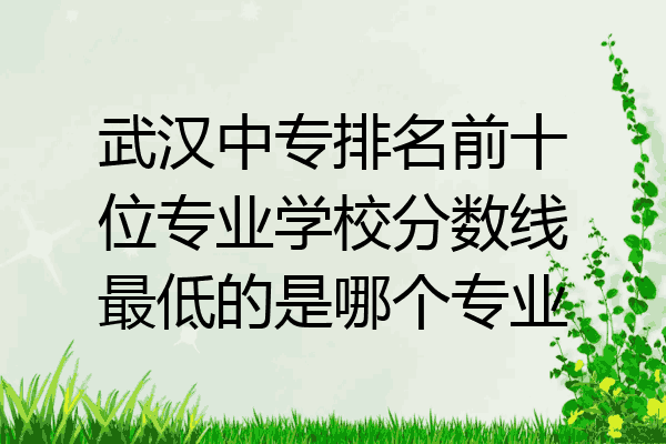 武汉中专排名前十位专业学校分数线最低的是哪个专业