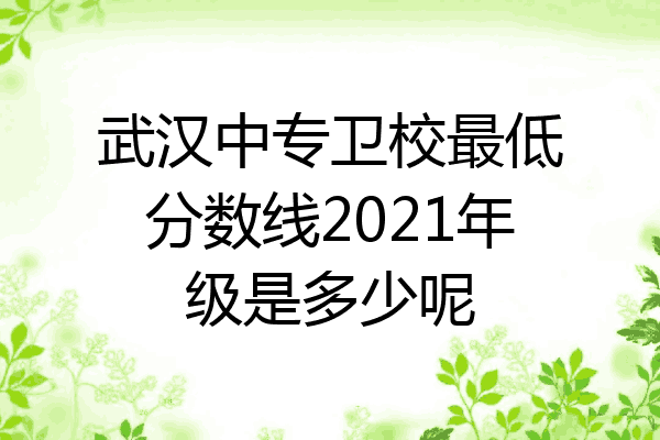 武汉中专卫校最低分数线2021年级是多少呢