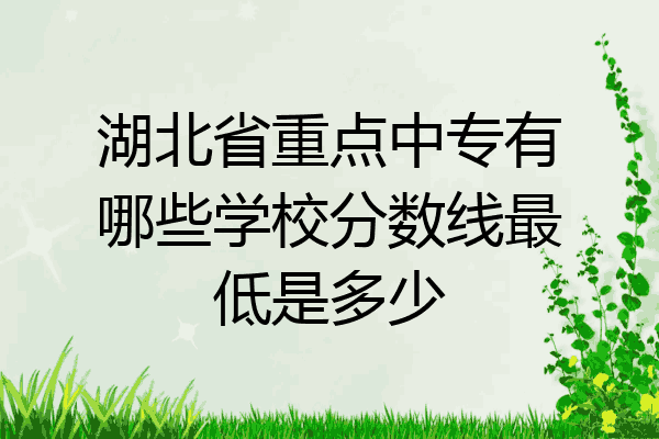 湖北省重点中专有哪些学校分数线最低是多少