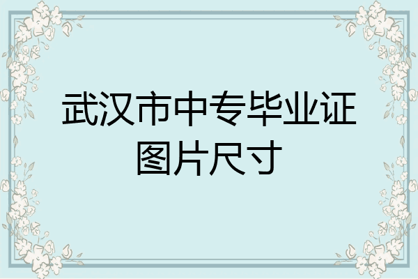 武汉市中专毕业证图片尺寸