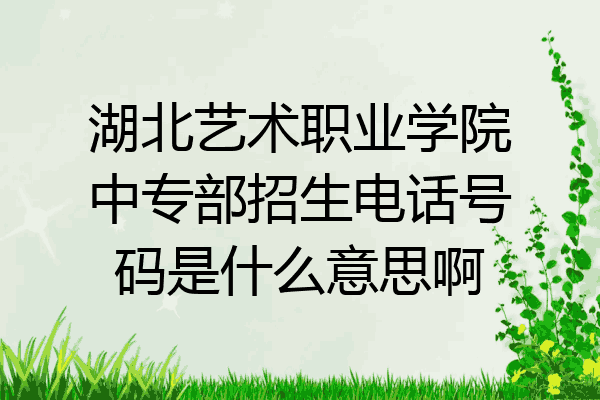 湖北艺术职业学院中专部招生电话号码是什么意思啊