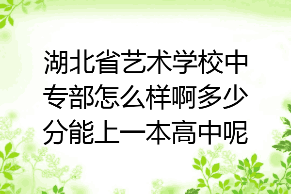 湖北省艺术学校中专部怎么样啊多少分能上一本高中呢