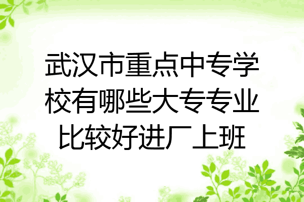 武汉市重点中专学校有哪些大专专业比较好进厂上班