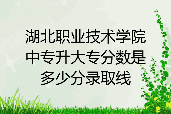 湖北职业技术学院中专升大专分数是多少分录取线