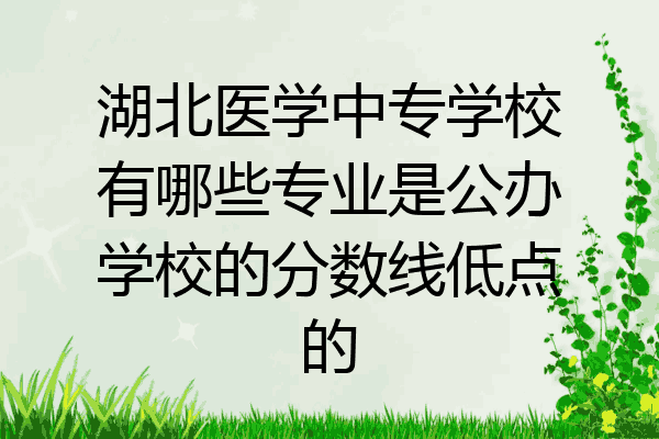 湖北医学中专学校有哪些专业是公办学校的分数线低点的