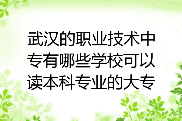 武汉的职业技术中专有哪些学校可以读本科专业的大专