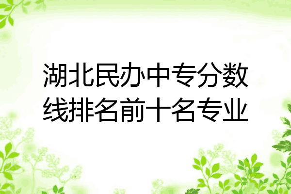 湖北民办中专分数线排名前十名专业