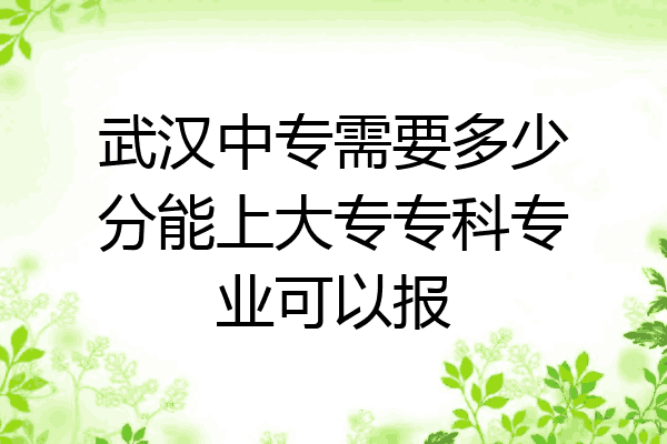 武汉中专需要多少分能上大专专科专业可以报
