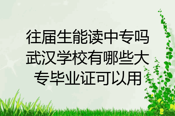 往届生能读中专吗武汉学校有哪些大专毕业证可以用