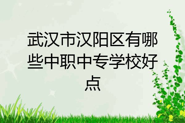 武汉市汉阳区有哪些中职中专学校好点