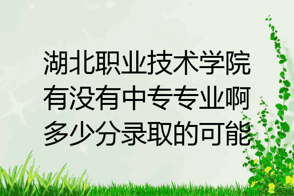 湖北职业技术学院有没有中专专业啊多少分录取的可能