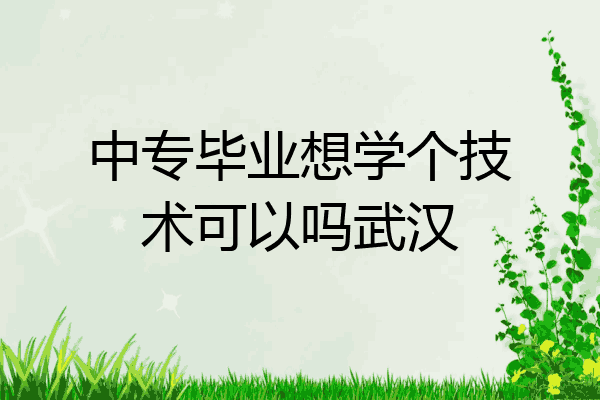 中专毕业想学个技术可以吗武汉