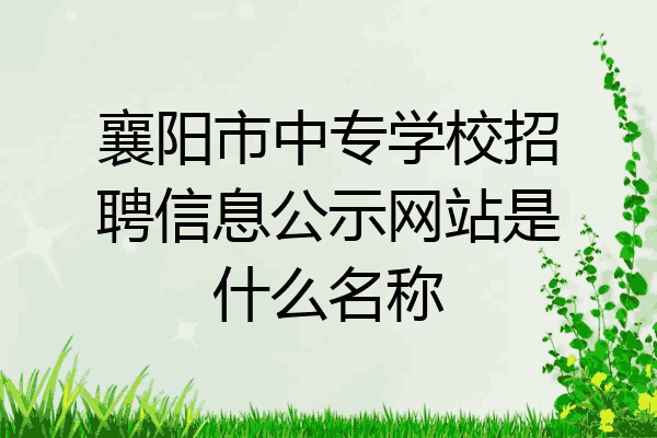 襄阳市中专学校招聘信息公示网站是什么名称