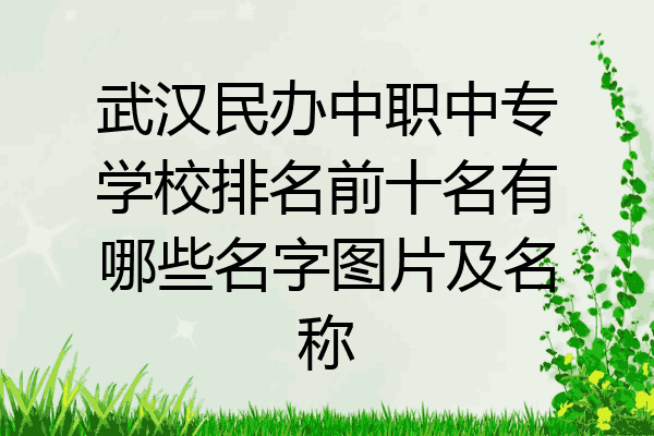 武汉民办中职中专学校排名前十名有哪些名字图片及名称