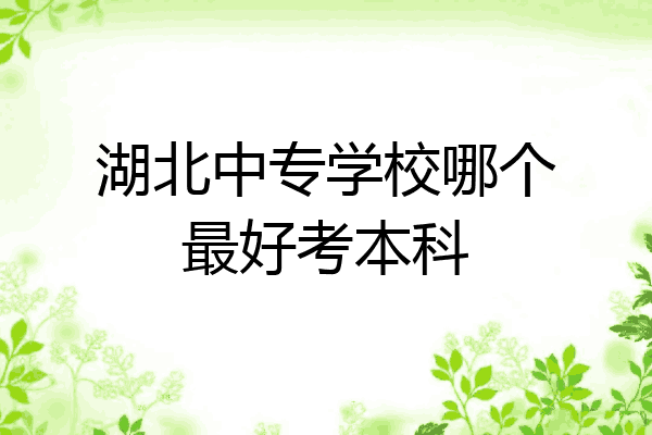 湖北中专学校哪个最好考本科