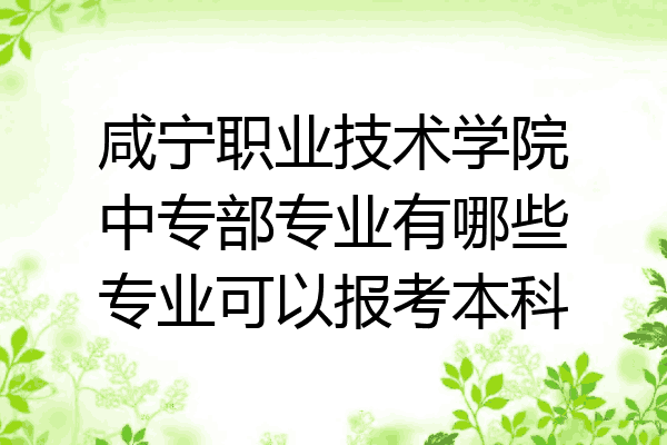 咸宁职业技术学院中专部专业有哪些专业可以报考本科