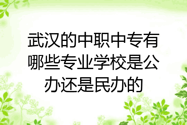 武汉的中职中专有哪些专业学校是公办还是民办的