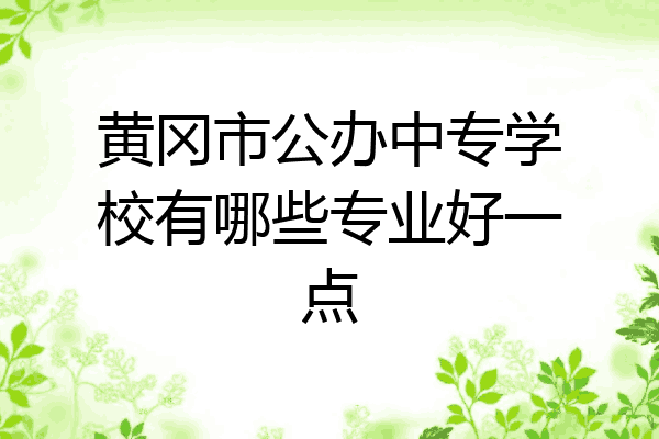 黄冈市公办中专学校有哪些专业好一点