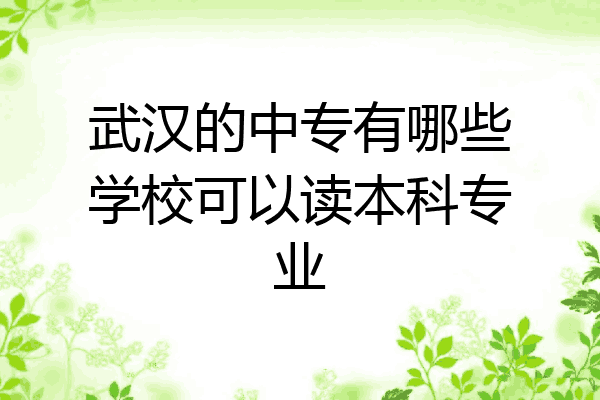 武汉的中专有哪些学校可以读本科专业