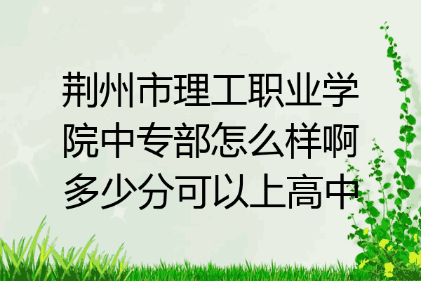 荆州市理工职业学院中专部怎么样啊多少分可以上高中