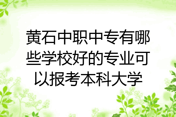 黄石中职中专有哪些学校好的专业可以报考本科大学