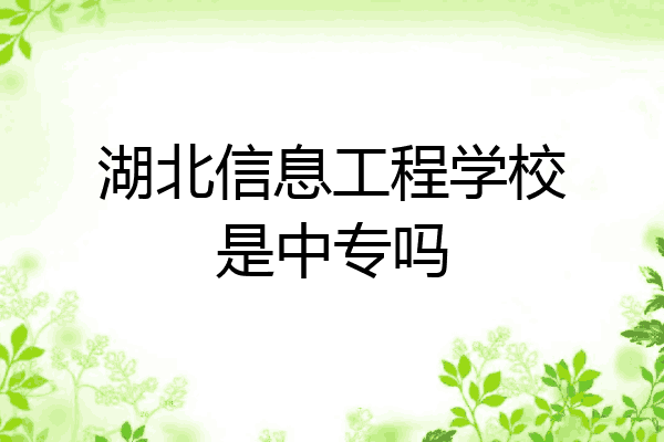 湖北信息工程学校是中专吗