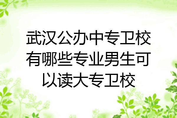 武汉公办中专卫校有哪些专业男生可以读大专卫校