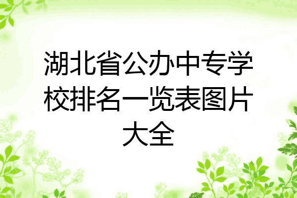湖北省公办中专学校排名一览表图片大全