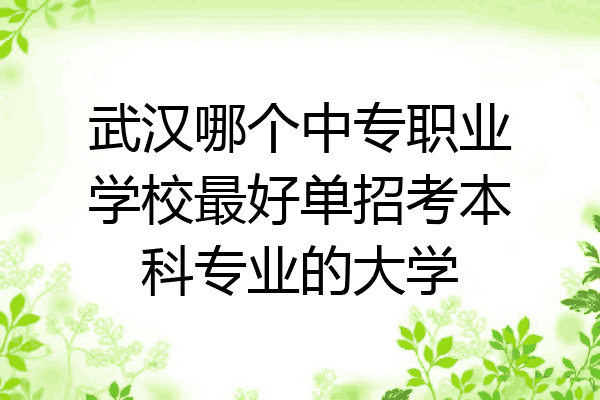 武汉哪个中专职业学校最好单招考本科专业的大学