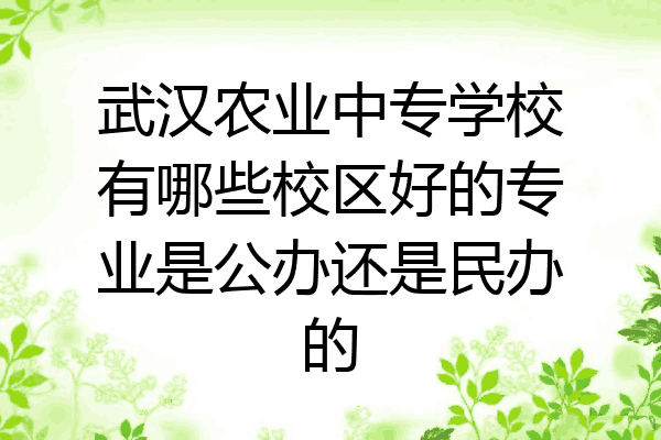 武汉农业中专学校有哪些校区好的专业是公办还是民办的