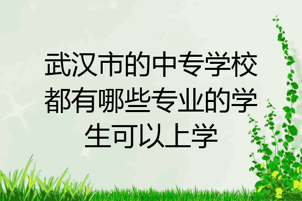 武汉市的中专学校都有哪些专业的学生可以上学