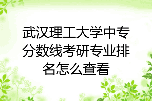 武汉理工大学中专分数线考研专业排名怎么查看