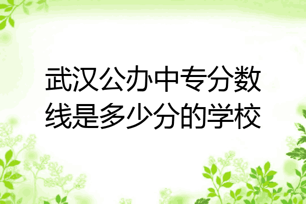 武汉公办中专分数线是多少分的学校