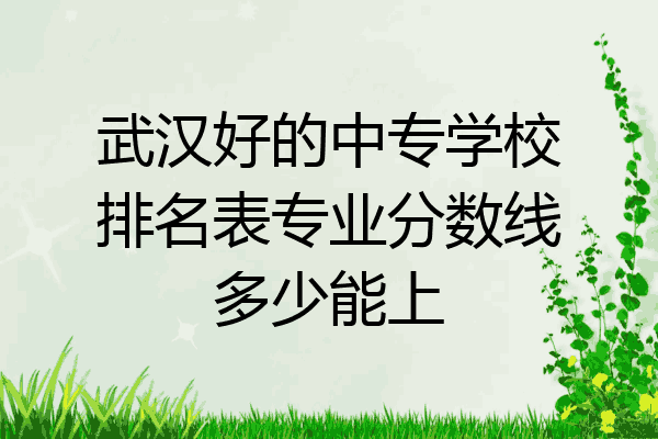 武汉好的中专学校排名表专业分数线多少能上