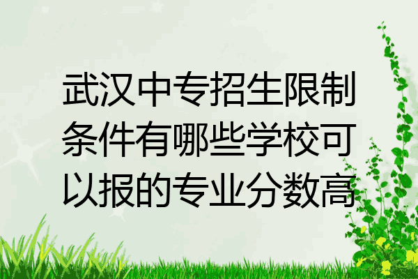 武汉中专招生限制条件有哪些学校可以报的专业分数高