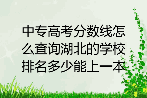 中专高考分数线怎么查询湖北的学校排名多少能上一本