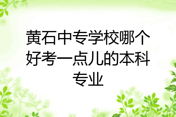 黄石中专学校哪个好考一点儿的本科专业
