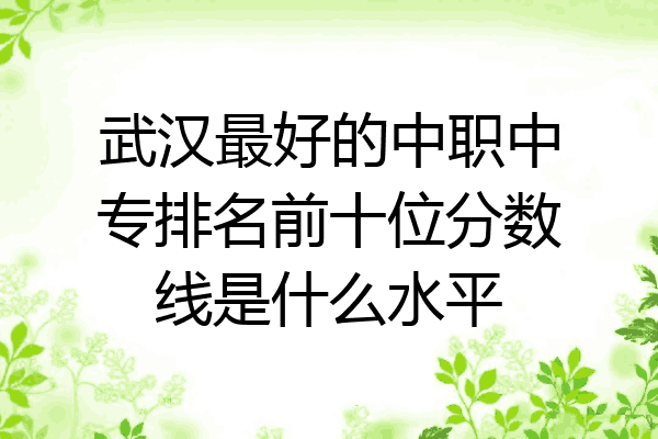 武汉最好的中职中专排名前十位分数线是什么水平