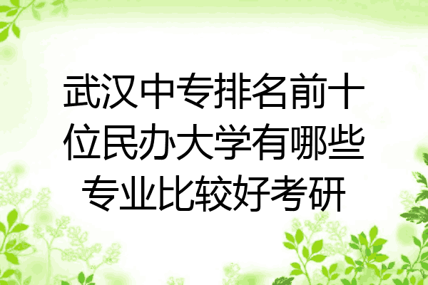武汉中专排名前十位民办大学有哪些专业比较好考研