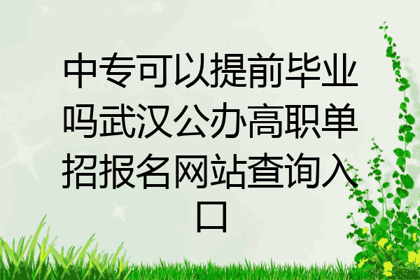 中专可以提前毕业吗武汉公办高职单招报名网站查询入口