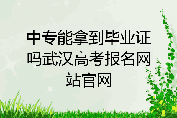 中专能拿到毕业证吗武汉高考报名网站官网