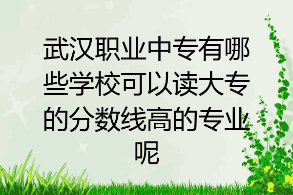 武汉职业中专有哪些学校可以读大专的分数线高的专业呢