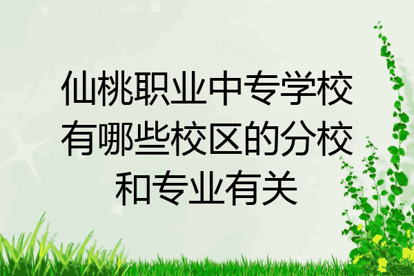 仙桃职业中专学校有哪些校区的分校和专业有关