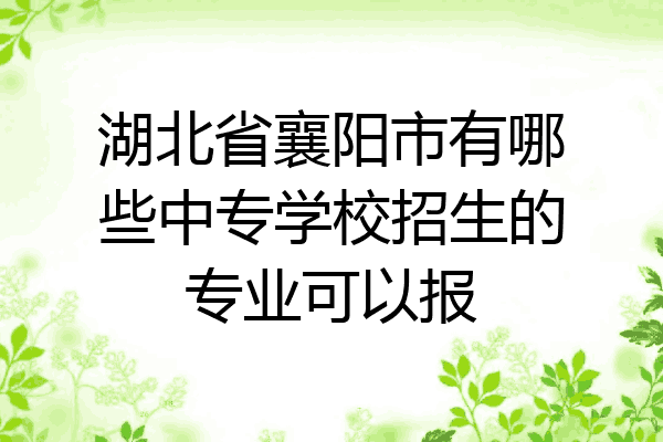 湖北省襄阳市有哪些中专学校招生的专业可以报