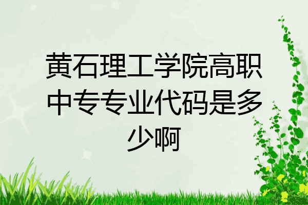 黄石理工学院高职中专专业代码是多少啊