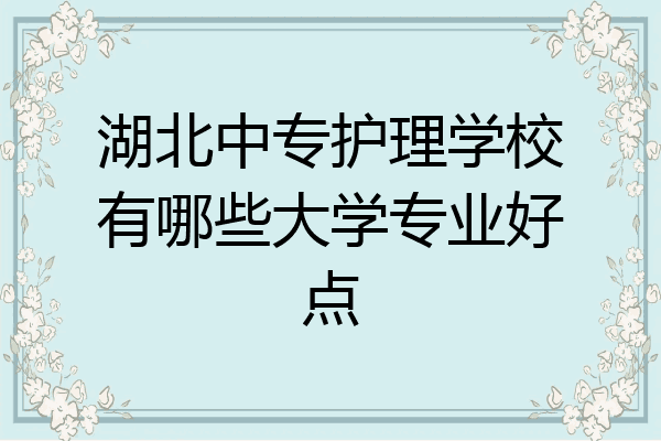 湖北中专护理学校有哪些大学专业好点