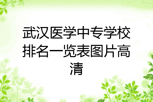 武汉医学中专学校排名一览表图片高清