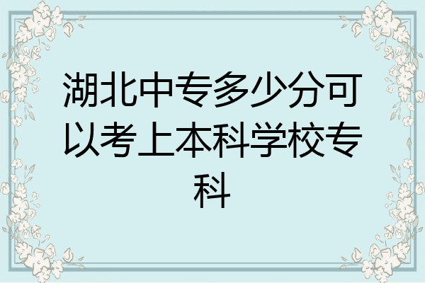 湖北中专多少分可以考上本科学校专科