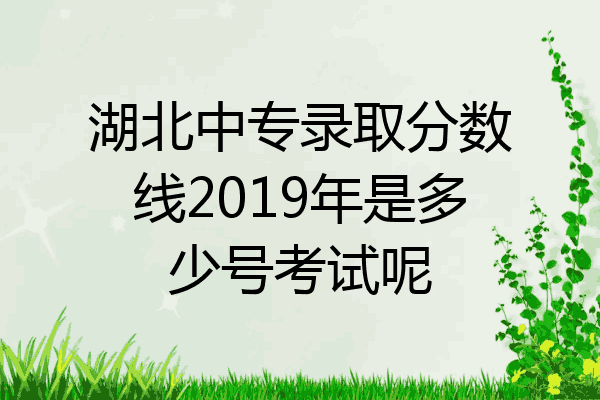 湖北中专录取分数线2019年是多少号考试呢