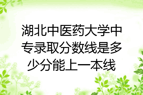 湖北中医药大学中专录取分数线是多少分能上一本线